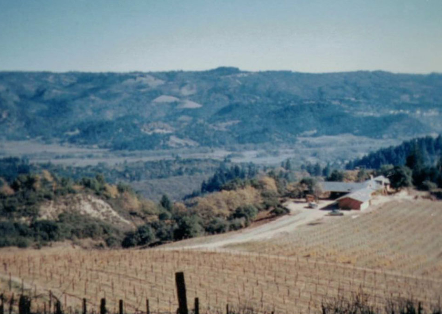 An image of Stony Hill vineyard from the 1970's, showing the vineyards being planted and overlooking Napa Valley.