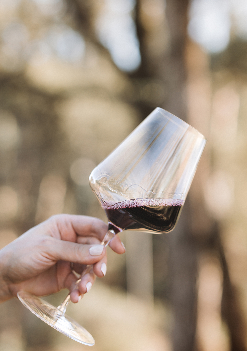 A hand holding a glass of Stony Hill red wine in the vineyard.