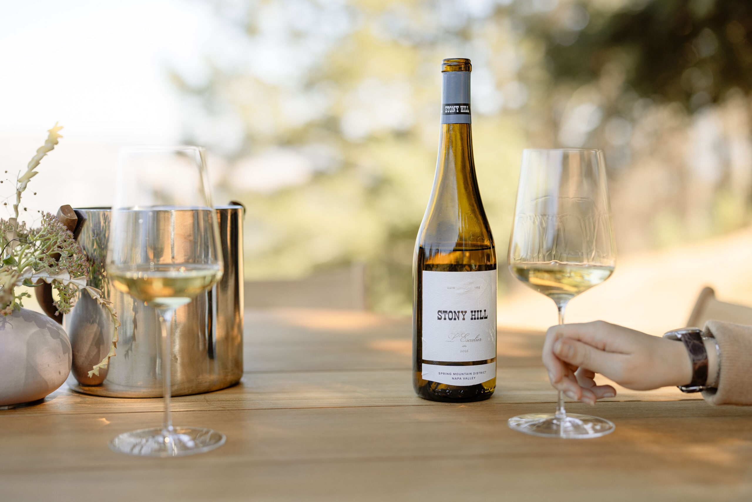 A view of a table outdoors with a hand holding a glass of wine next to a bottle of Stony Hill wine.