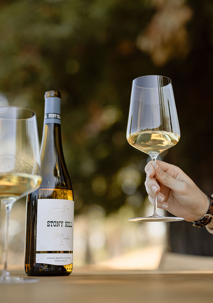 A guest at a Stony Hill tasting holding a glass of Stony Hill Chardonnay next to the wine bottle.